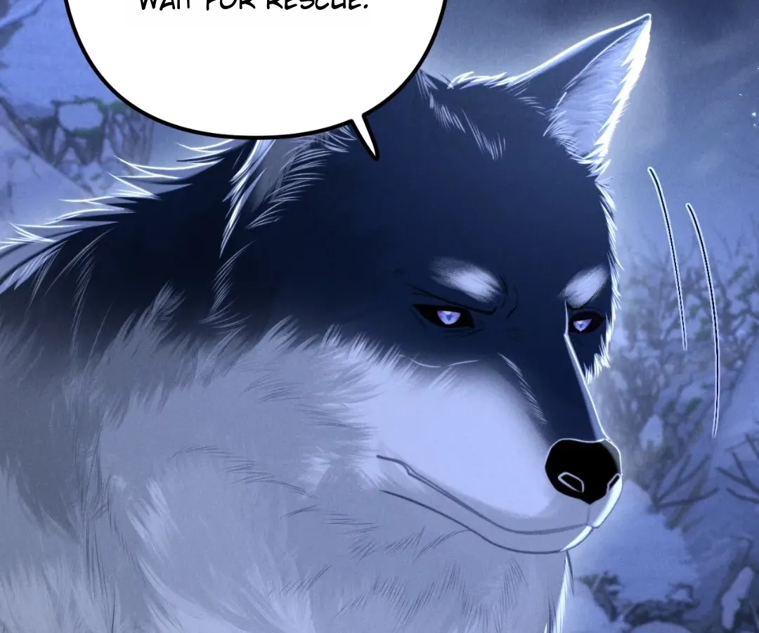 Read Toxic Adoration chapter 16 image 28 on Lezhin