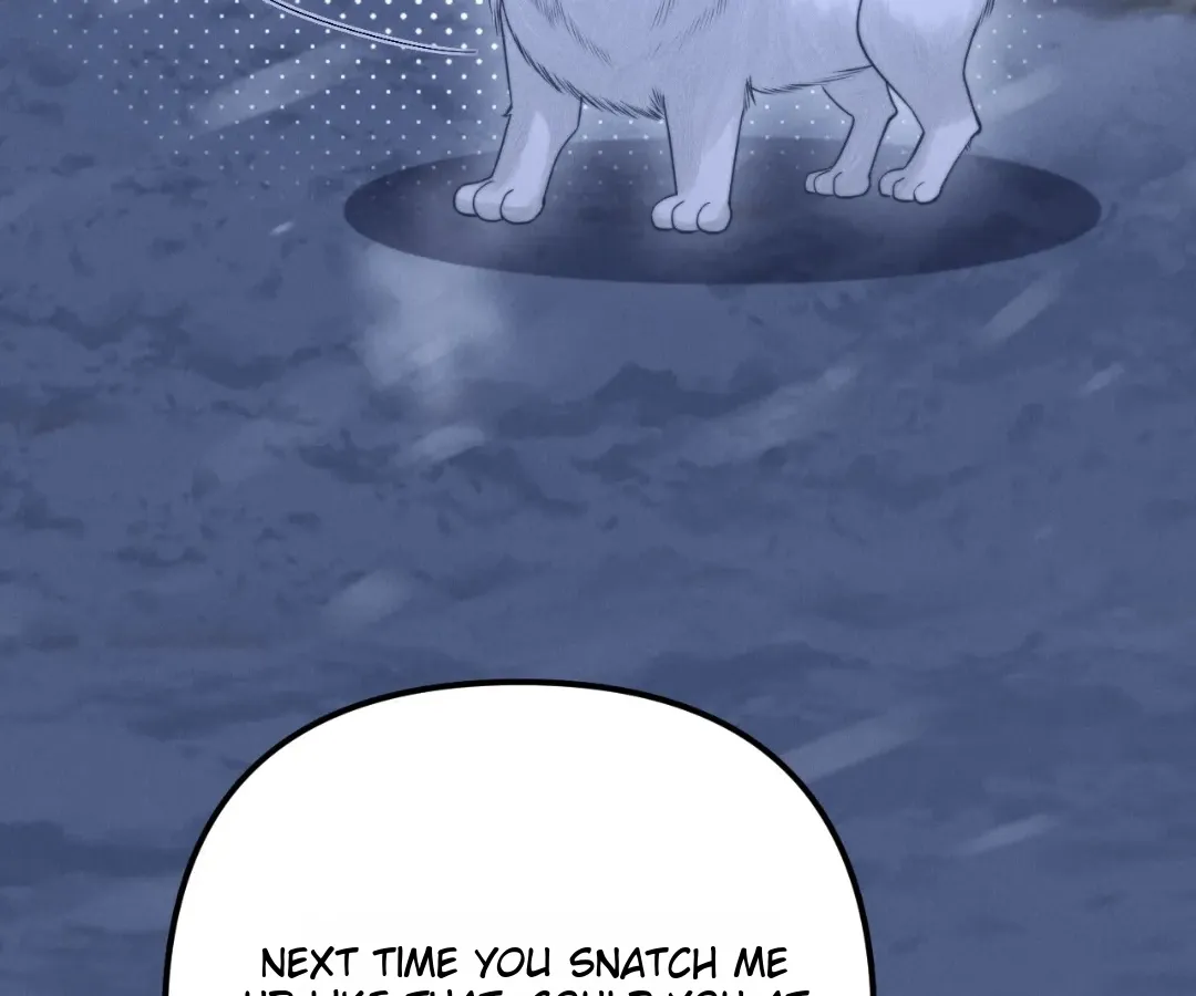 Read Toxic Adoration chapter 16 image 39 on Lezhin