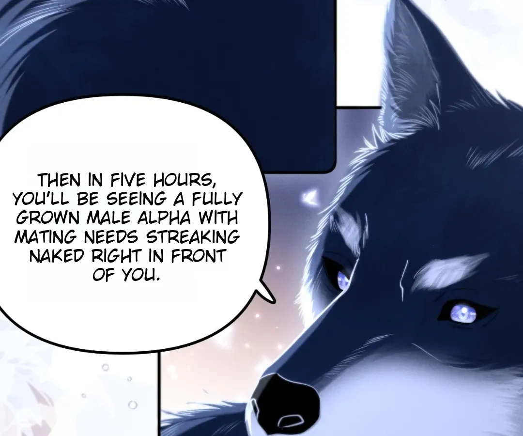 Read Toxic Adoration chapter 16 image 49 on Lezhin