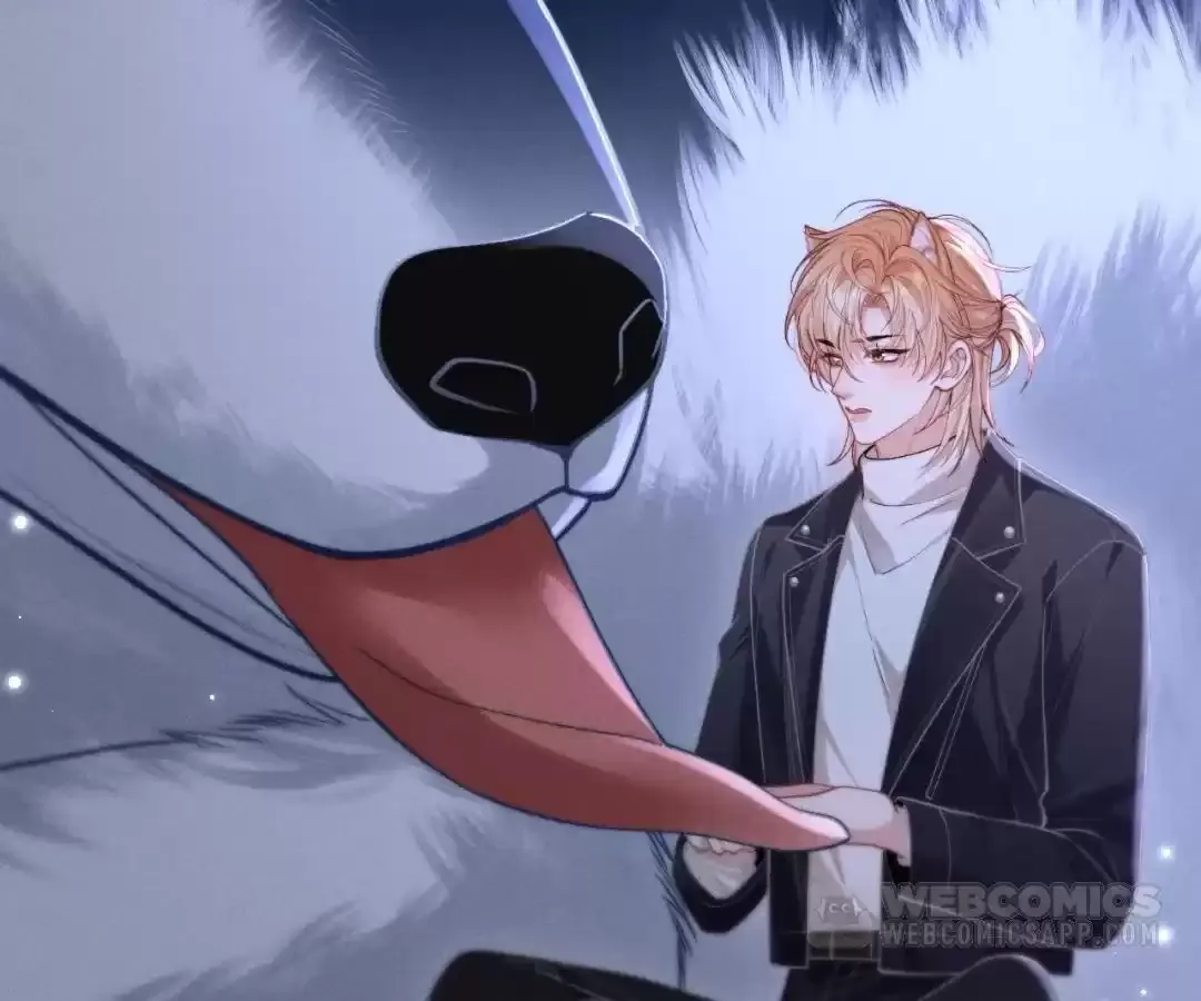 Read Toxic Adoration chapter 17 image 66 on Lezhin