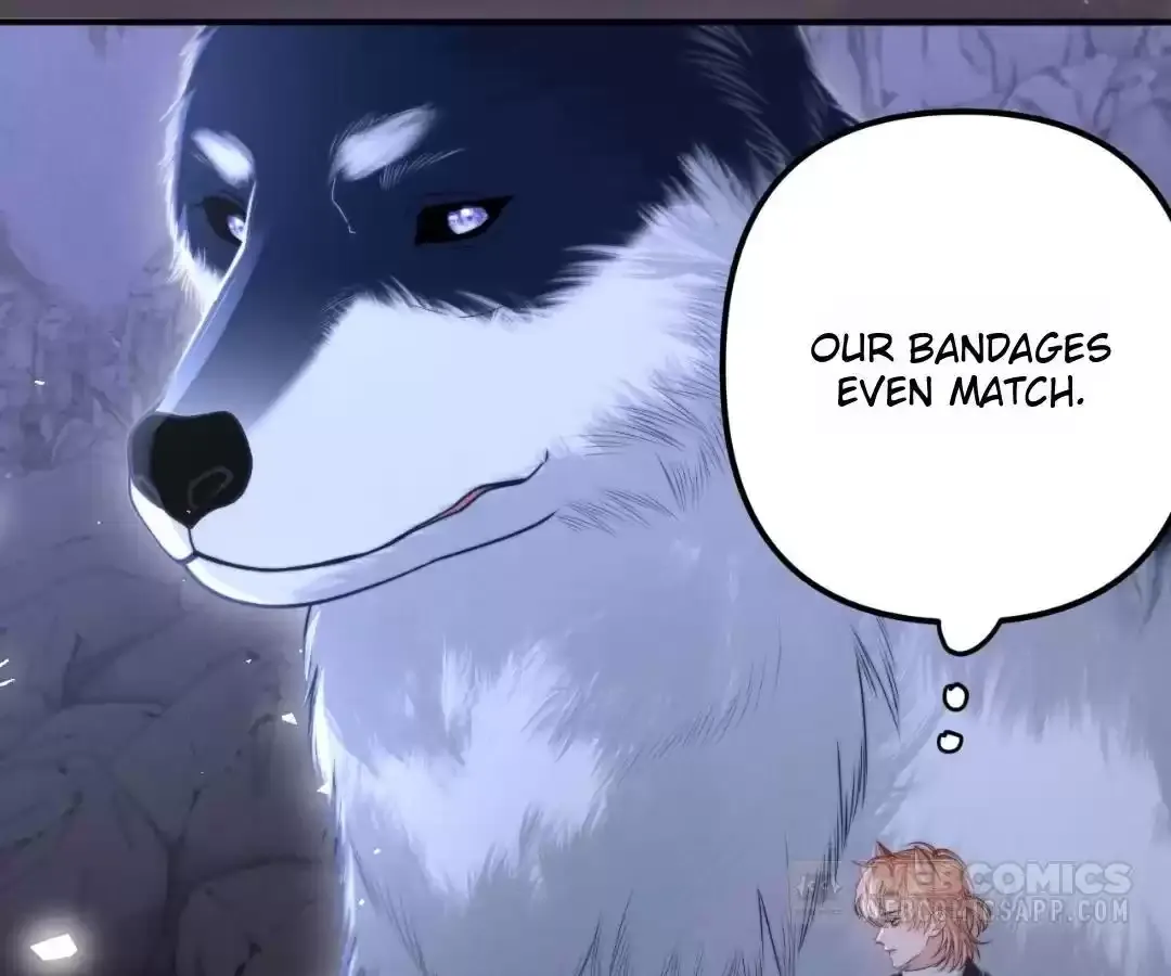 Read Toxic Adoration chapter 18 image 66 on Lezhin
