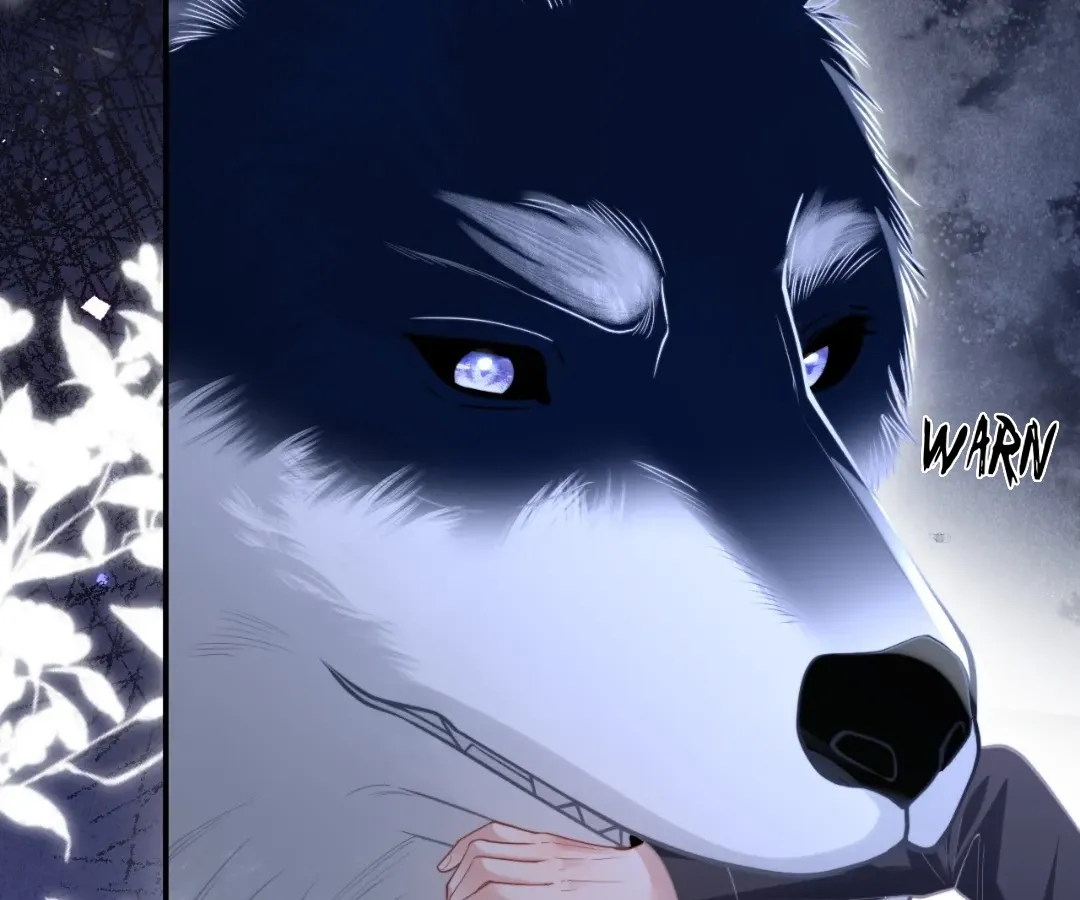 Read Toxic Adoration chapter 19 image 29 on Lezhin