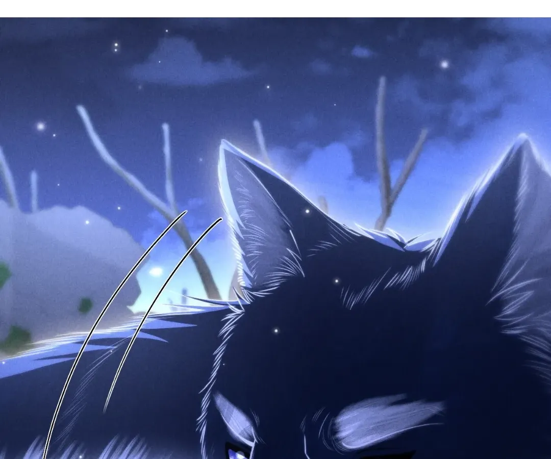 Read Toxic Adoration chapter 21 image 68 on Lezhin