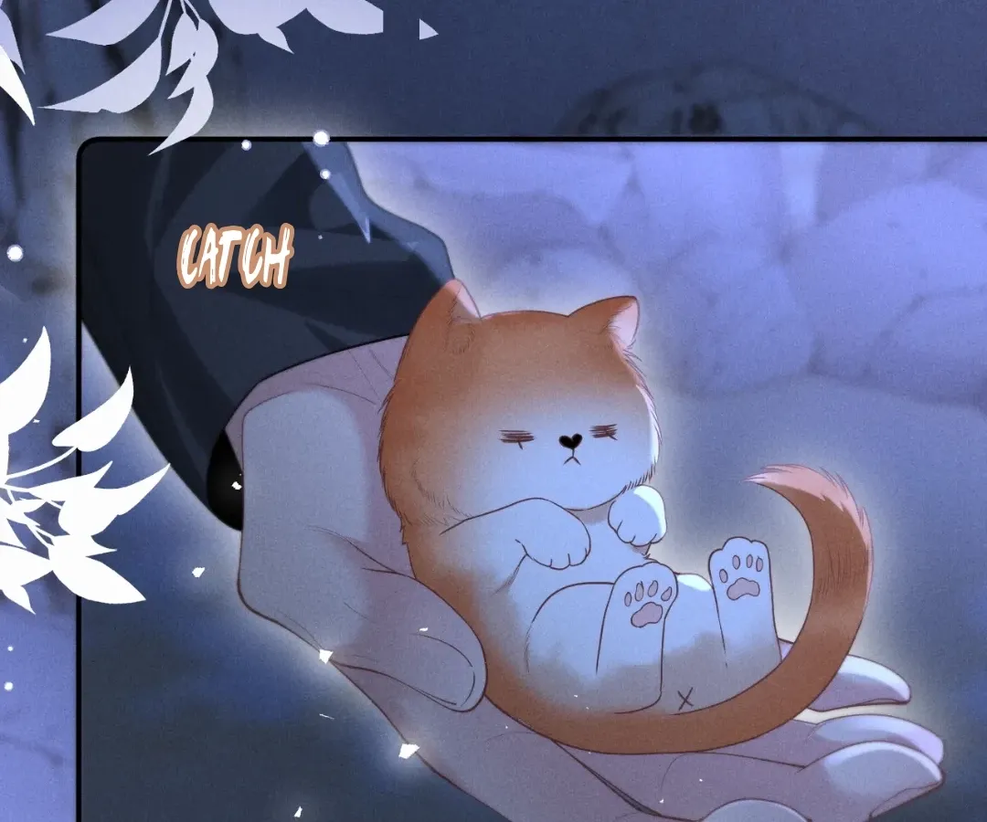 Read Toxic Adoration chapter 24 image 19 on Lezhin