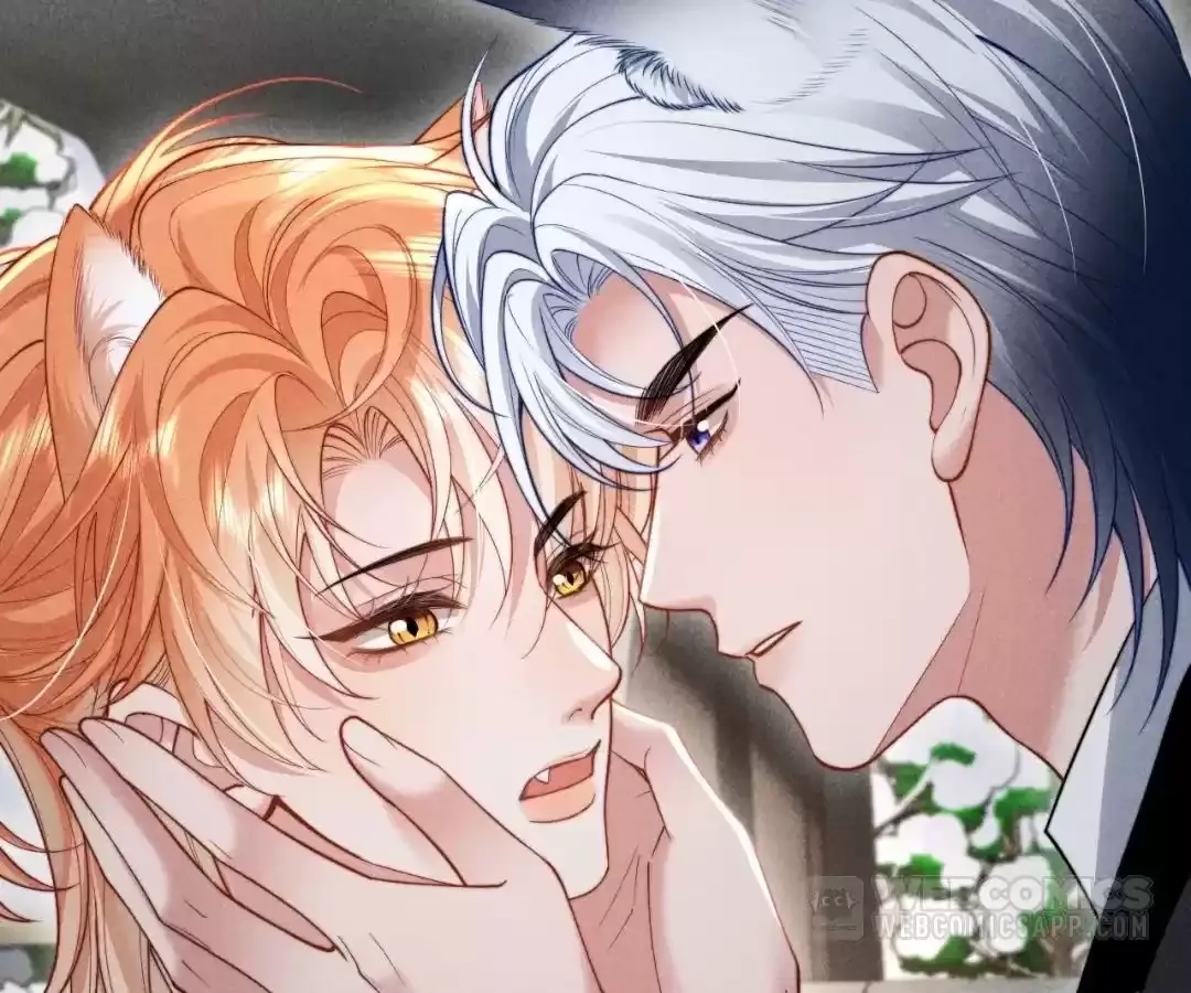 Read Toxic Adoration chapter 35 image 74 on Lezhin