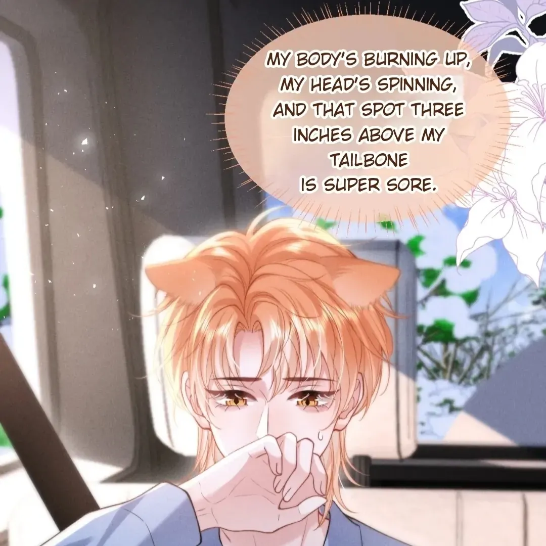 Read Toxic Adoration chapter 36 image 13 on Lezhin