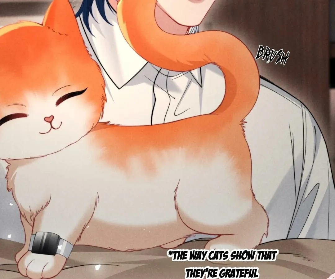 Read Toxic Adoration chapter 40 image 22 on Lezhin