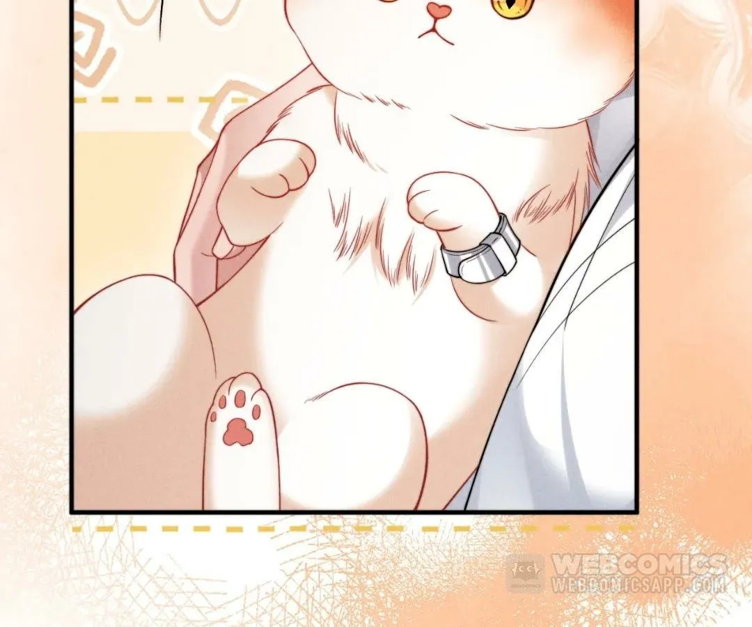 Read Toxic Adoration chapter 40 image 42 on Lezhin
