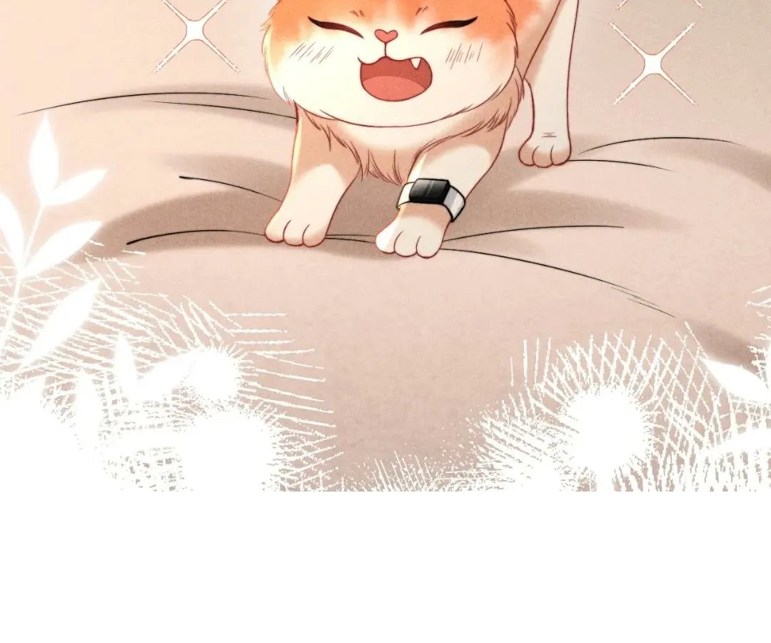 Read Toxic Adoration chapter 40 image 51 on Lezhin