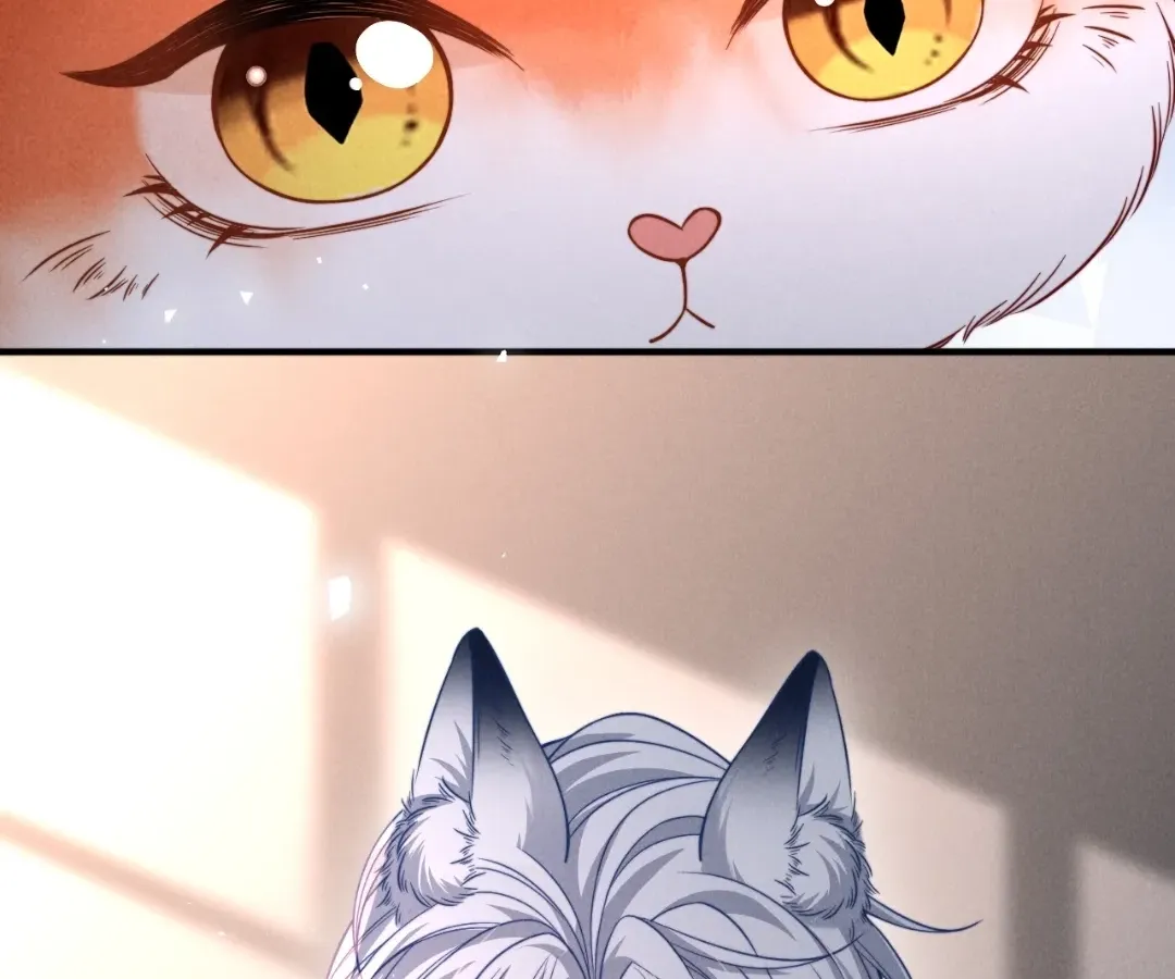 Read Toxic Adoration chapter 42 image 61 on Lezhin