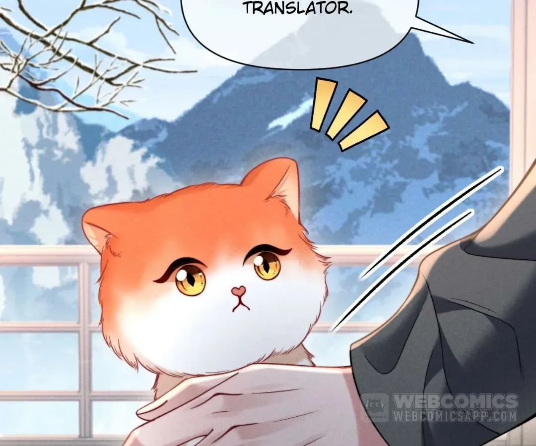 Read Toxic Adoration chapter 43 image 2 on Lezhin