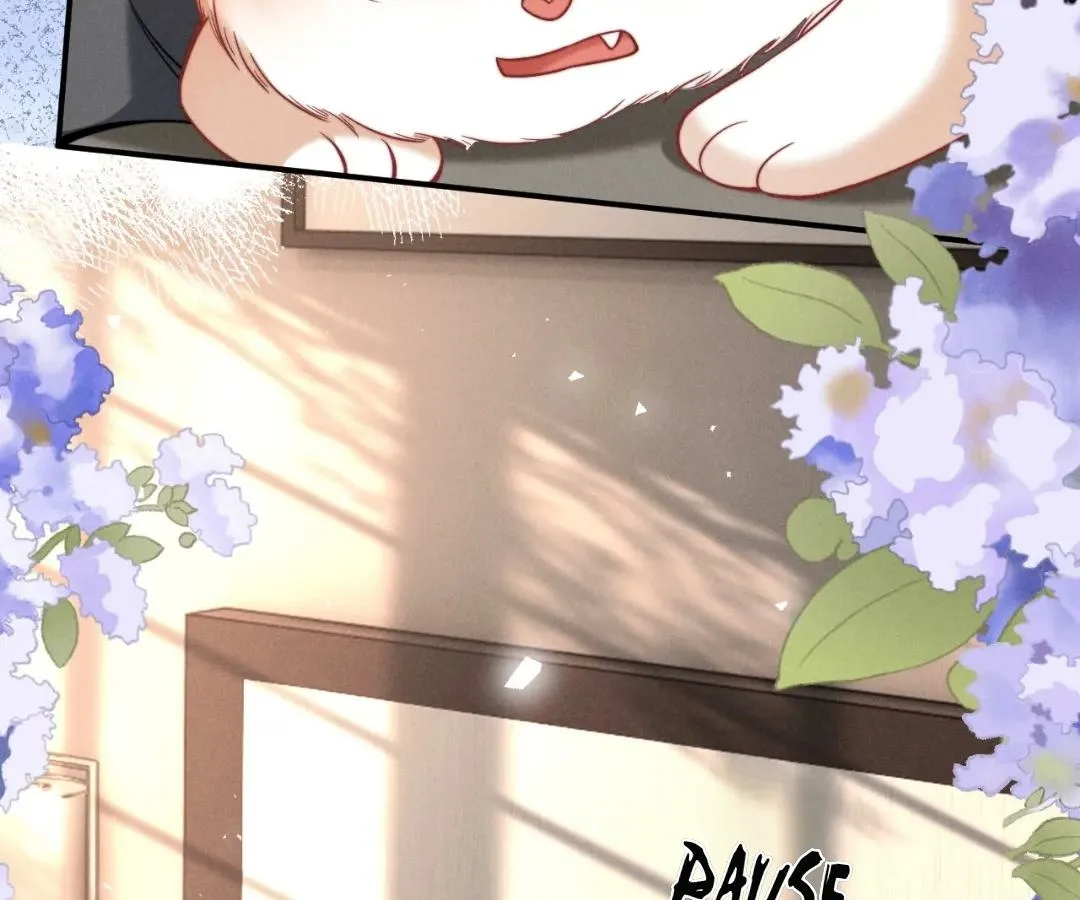 Read Toxic Adoration chapter 43 image 37 on Lezhin