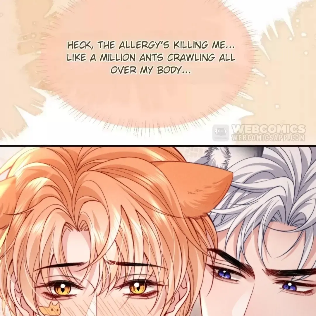 Read Toxic Adoration chapter 49 image 2 on Lezhin