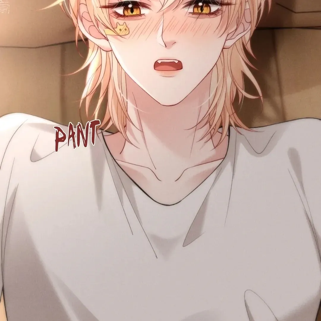 Read Toxic Adoration chapter 49 image 69 on Lezhin