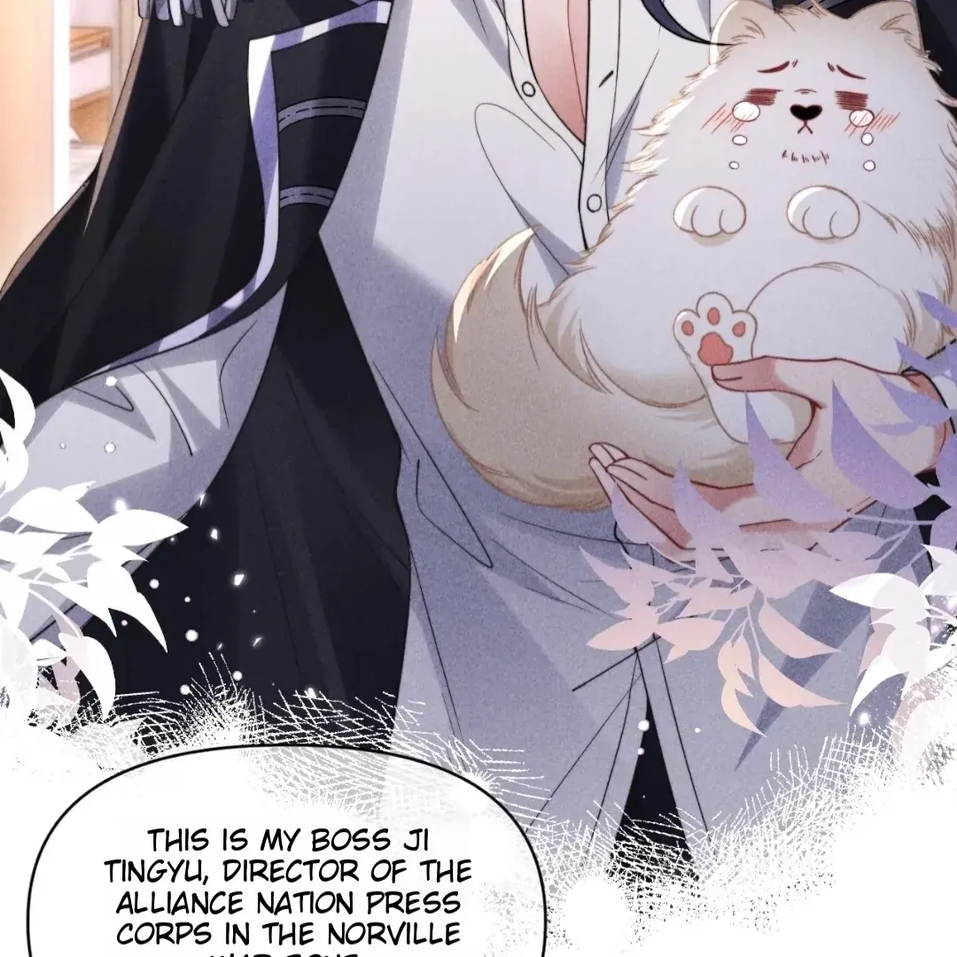 Read Toxic Adoration chapter 51 image 47 on Lezhin