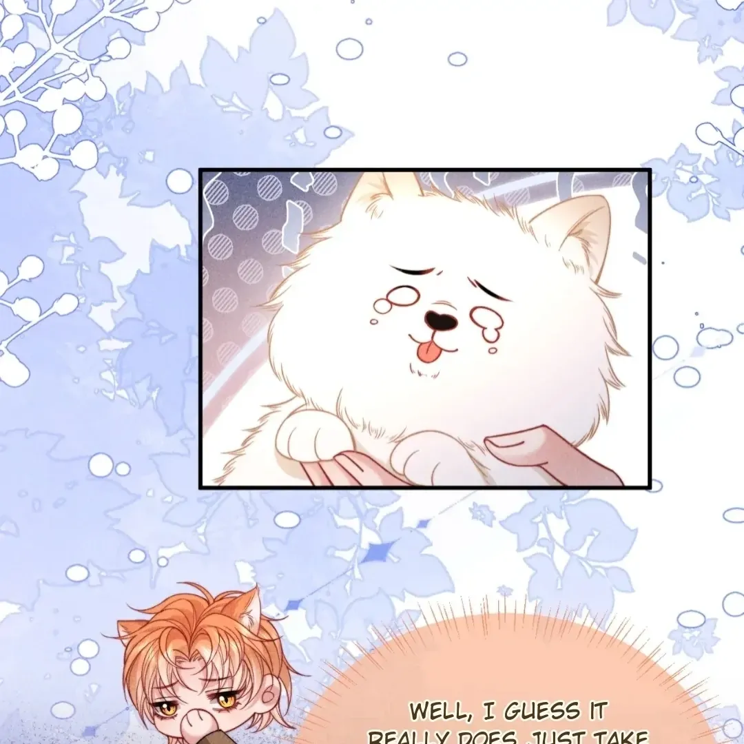 Read Toxic Adoration chapter 51 image 51 on Lezhin