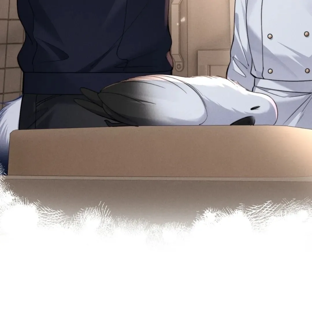 Read Toxic Adoration chapter 53 image 4 on Lezhin