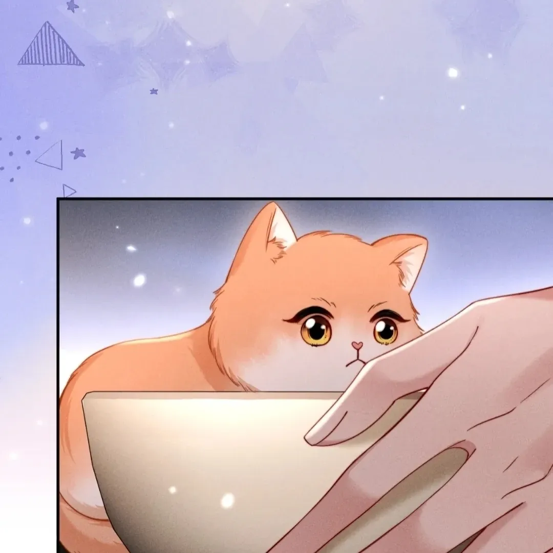 Read Toxic Adoration chapter 53 image 63 on Lezhin
