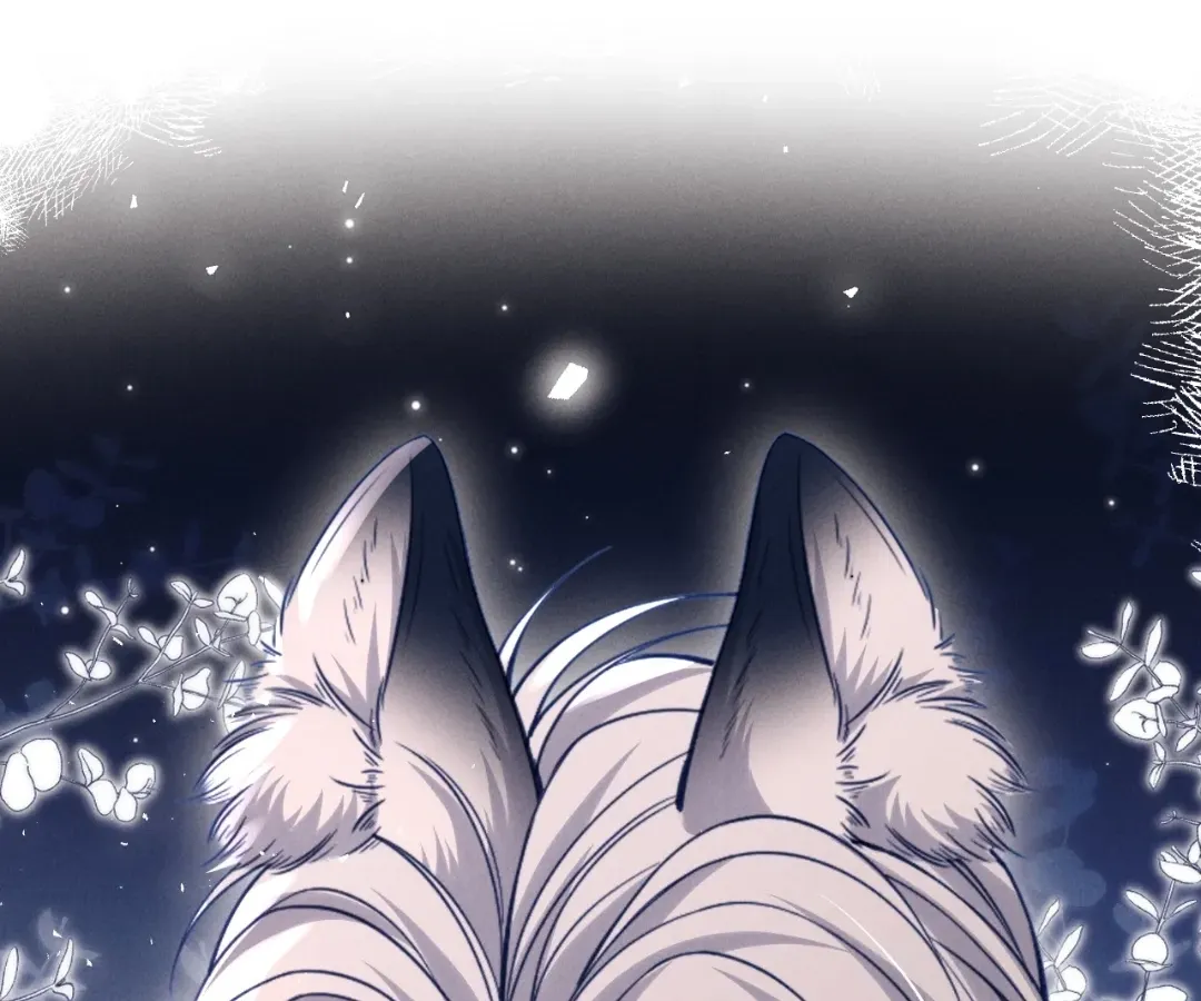 Read Toxic Adoration chapter 60 image 11 on Lezhin