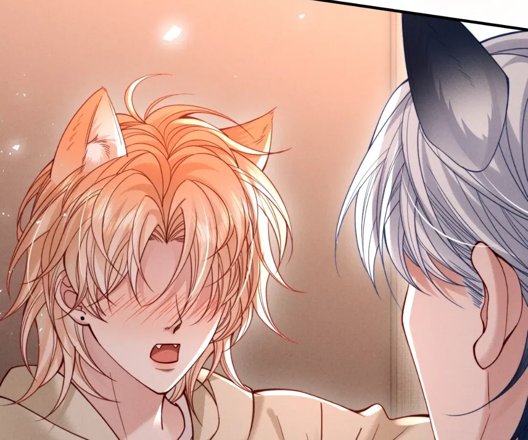Read Toxic Adoration chapter 60 image 15 on Lezhin