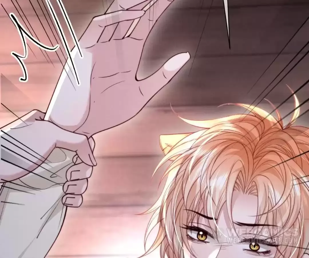 Read Toxic Adoration chapter 65 image 10 on Lezhin