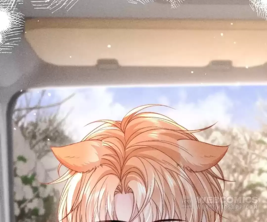 Read Toxic Adoration chapter 67 image 58 on Lezhin