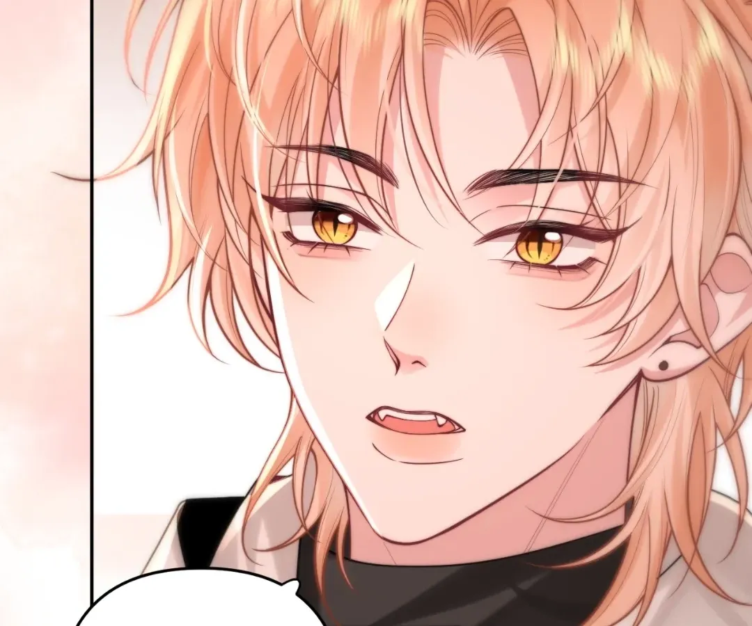Read Toxic Adoration chapter 7 image 8 on Lezhin