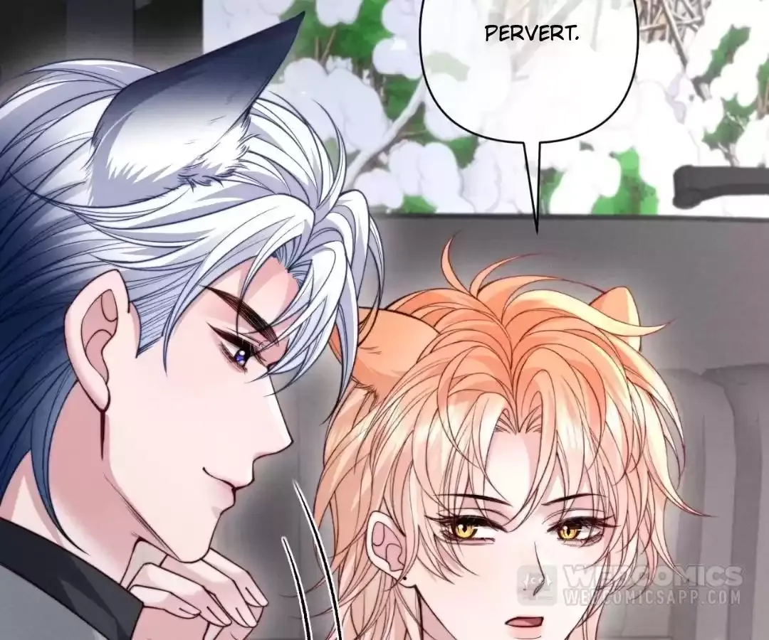 Read Toxic Adoration chapter 70 image 10 on Lezhin