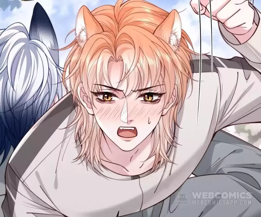 Read Toxic Adoration chapter 70 image 2 on Lezhin