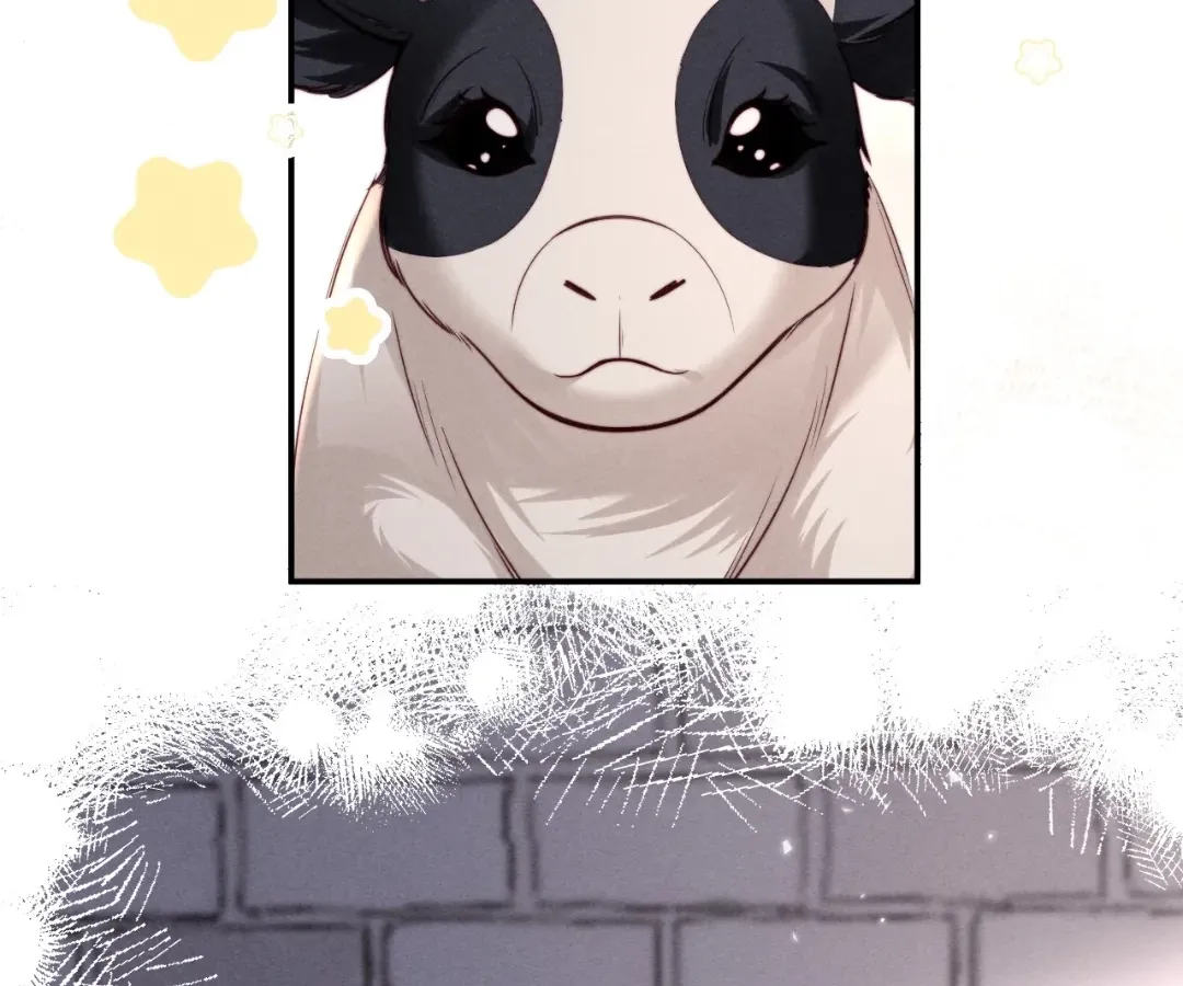 Read Toxic Adoration chapter 71 image 22 on Lezhin