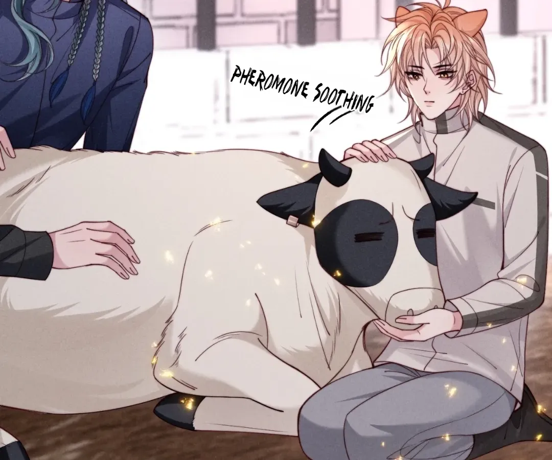 Read Toxic Adoration chapter 71 image 9 on Lezhin