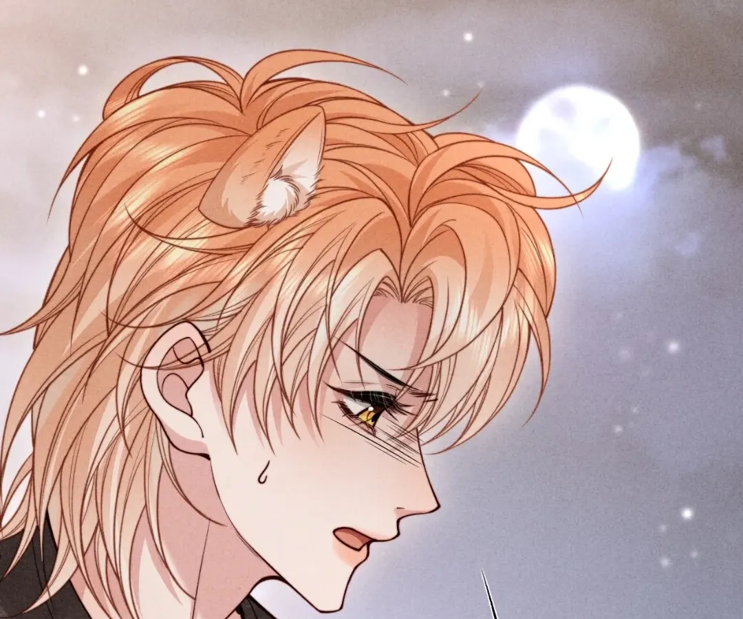 Read Toxic Adoration chapter 72 image 67 on Lezhin