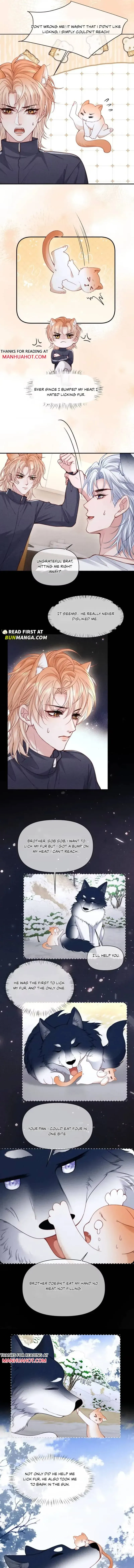Read Toxic Adoration chapter 87 image 5 on Lezhin