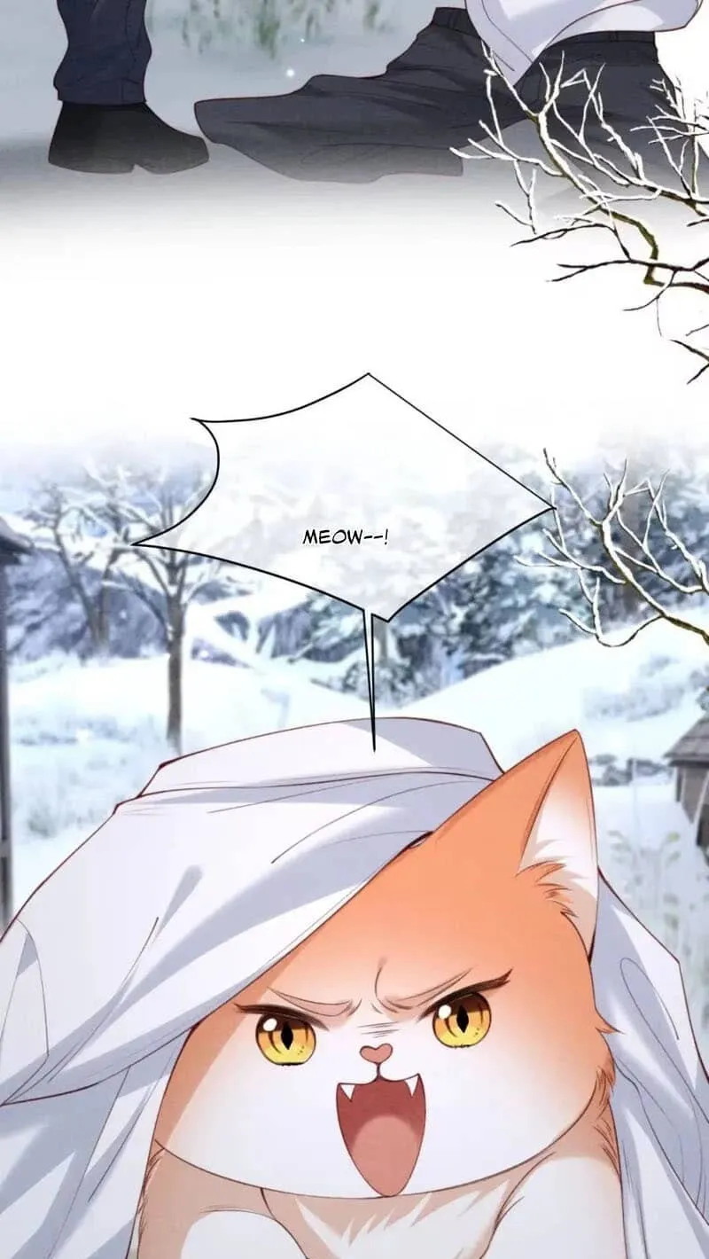 Read Toxic Adoration chapter 93 image 19 on Lezhin