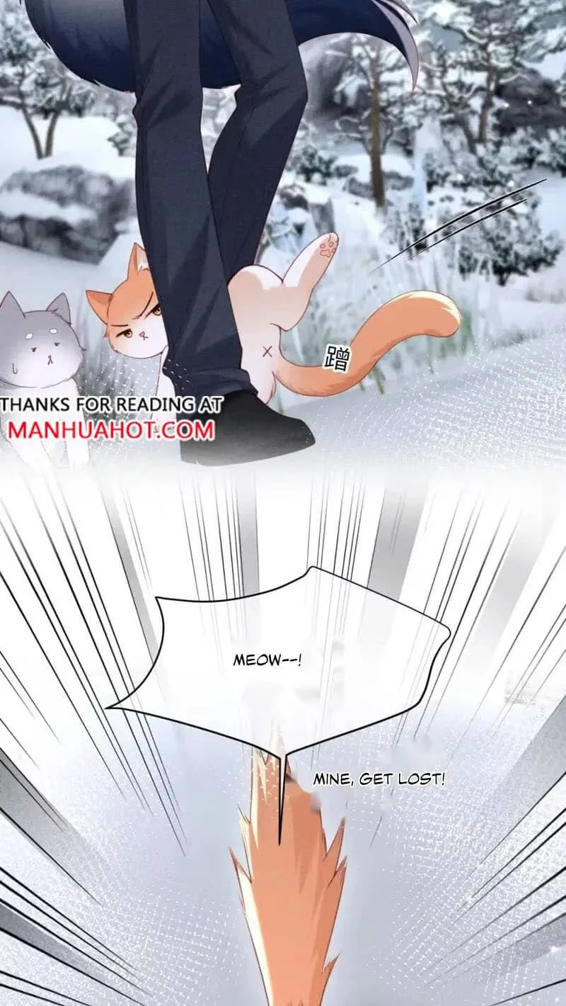 Read Toxic Adoration chapter 93 image 21 on Lezhin