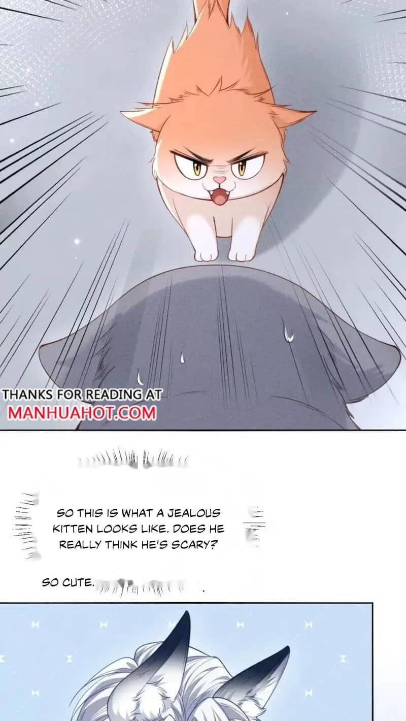 Read Toxic Adoration chapter 93 image 22 on Lezhin