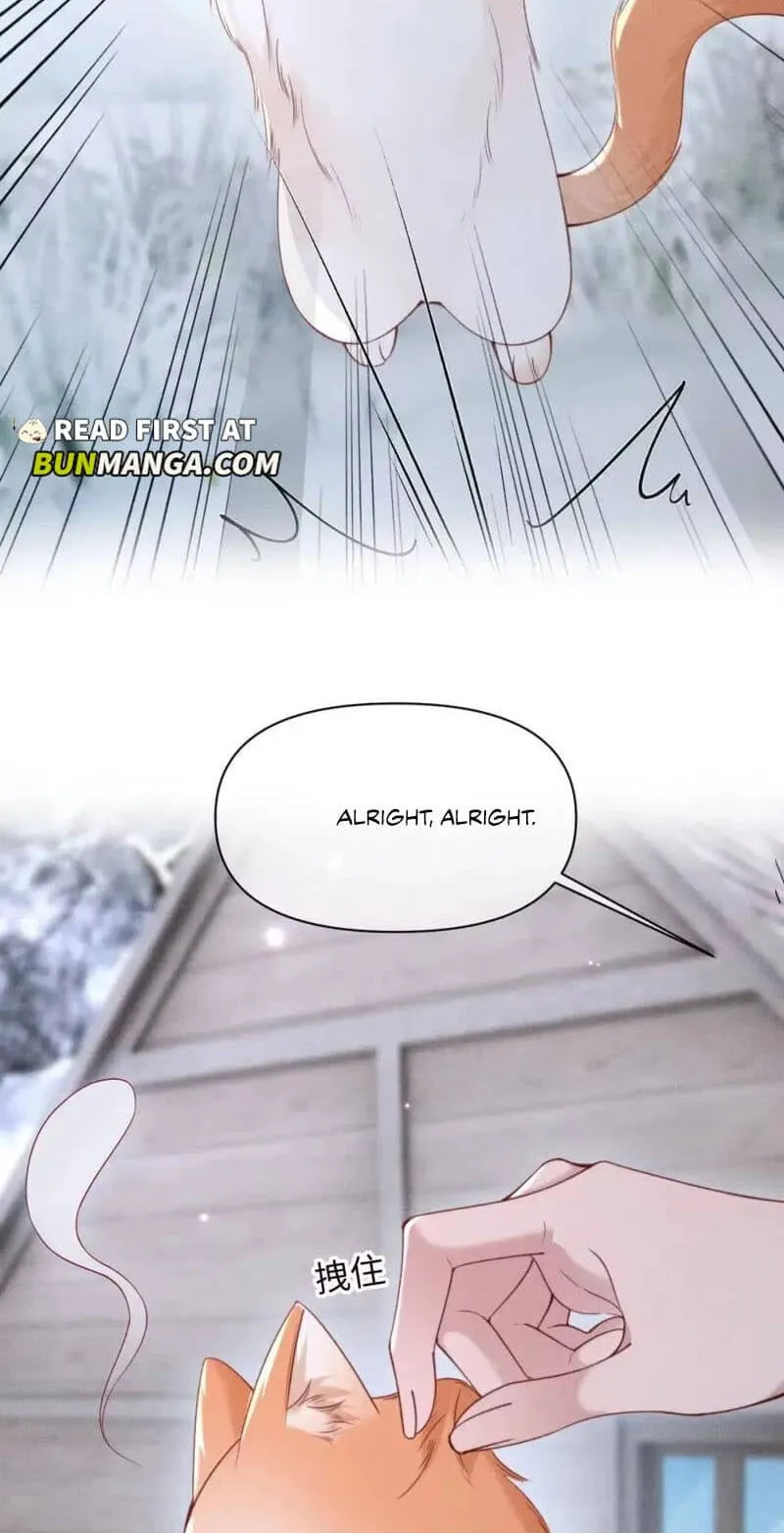 Read Toxic Adoration chapter 93 image 27 on Lezhin