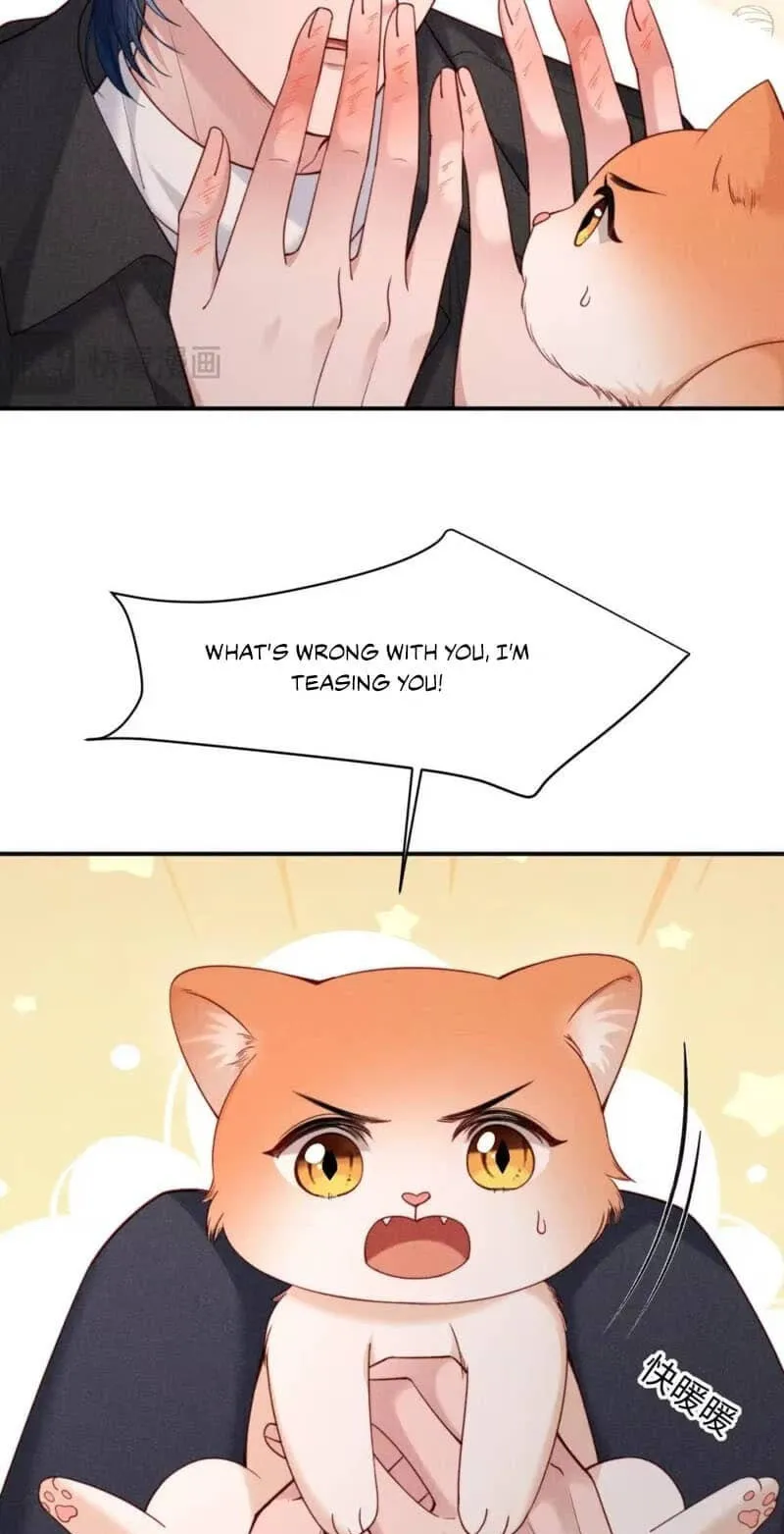 Read Toxic Adoration chapter 94 image 6 on Lezhin