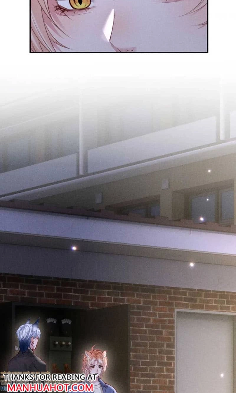Read Toxic Adoration chapter 96 image 13 on Lezhin