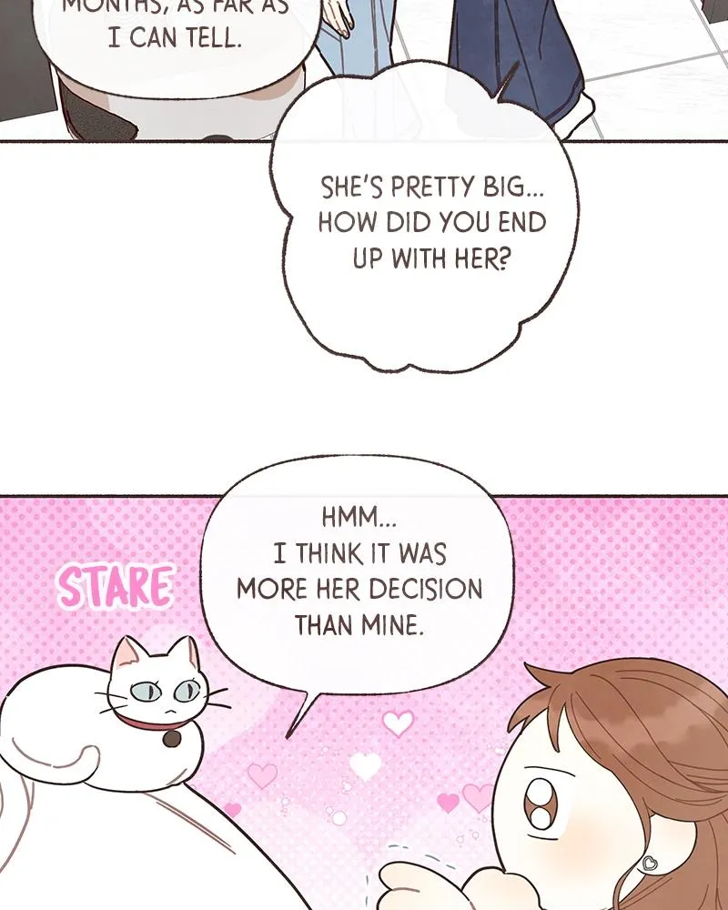 Read Transference (Hyang Yu) chapter 26 image 23 on Lezhin
