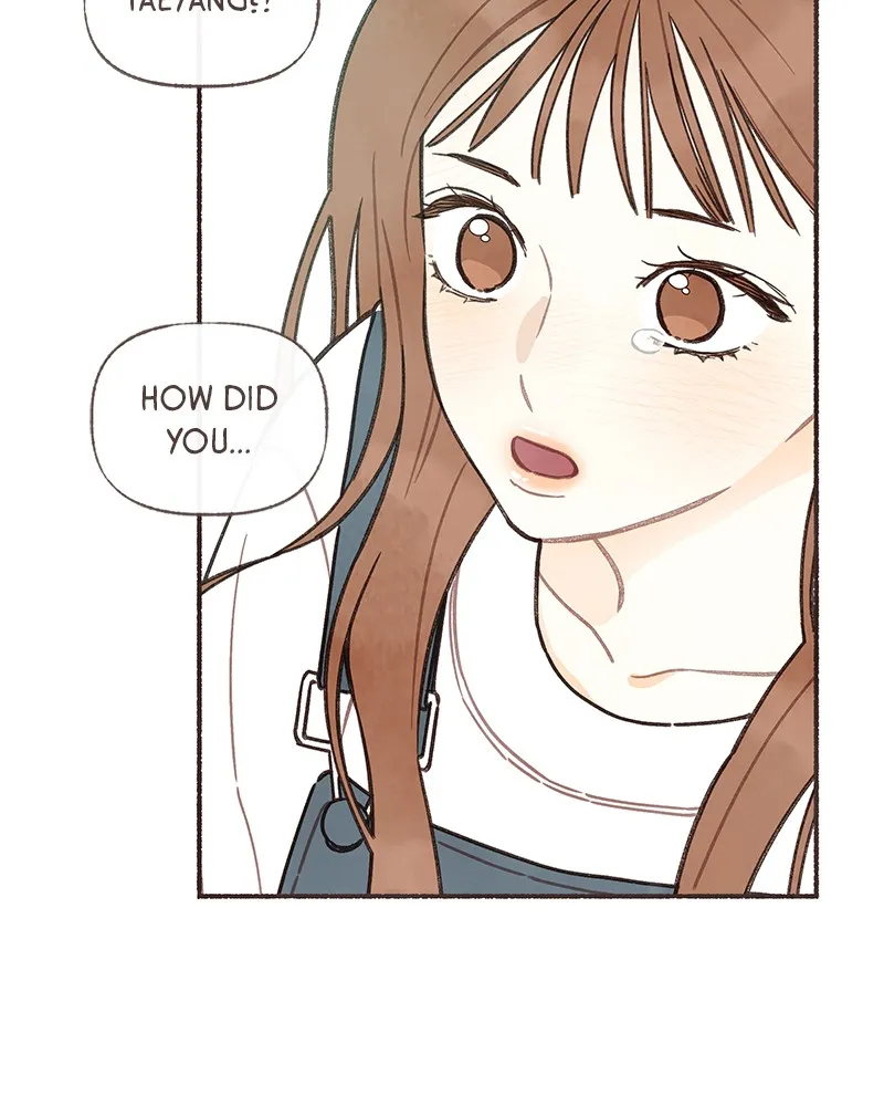 Read Transference chapter 14 image 15 on Lezhin