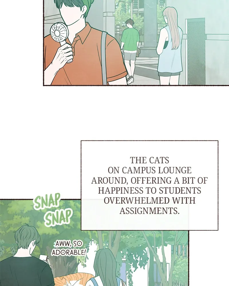 Read Transference chapter 26 image 42 on Lezhin