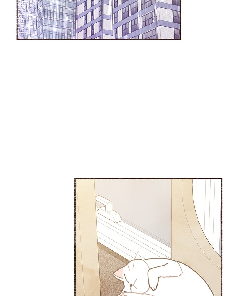 Read Transference chapter 61 image 11 on Lezhin