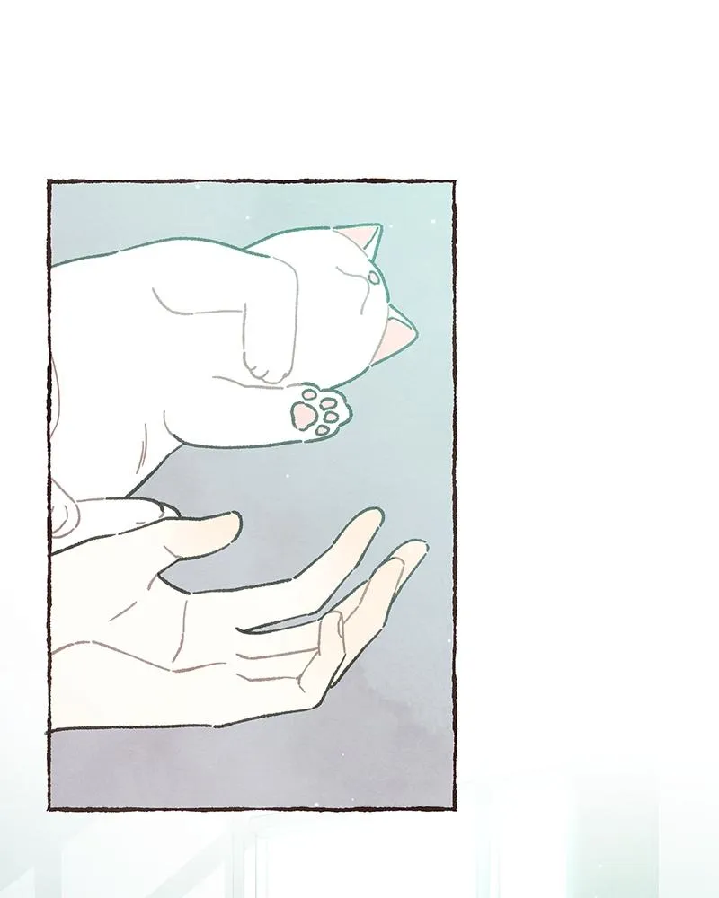Read Transference chapter 73 image 14 on Lezhin