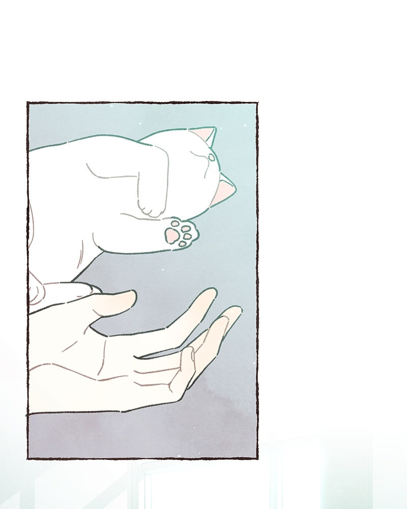Read Transference chapter 74 image 14 on Lezhin