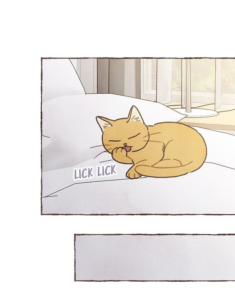 Read Transference chapter 76 image 29 on Lezhin