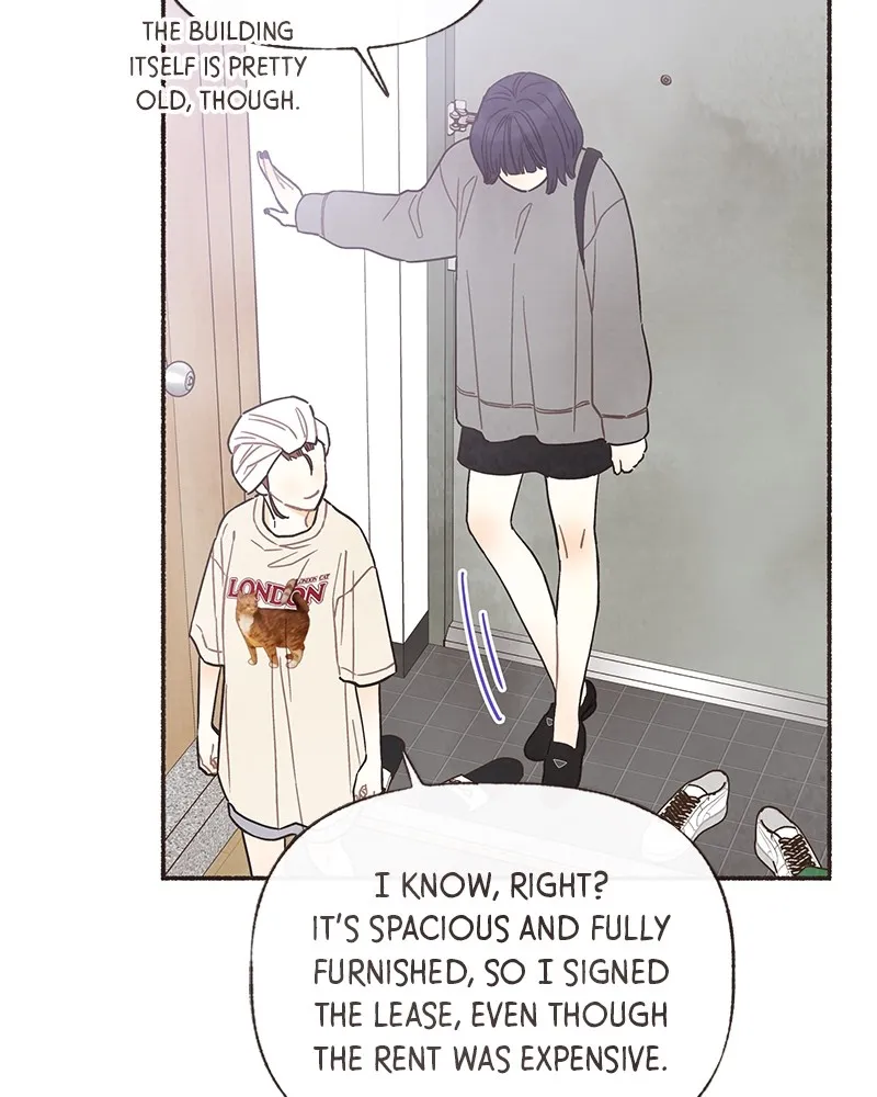 Read Transference chapter 8 image 6 on Lezhin