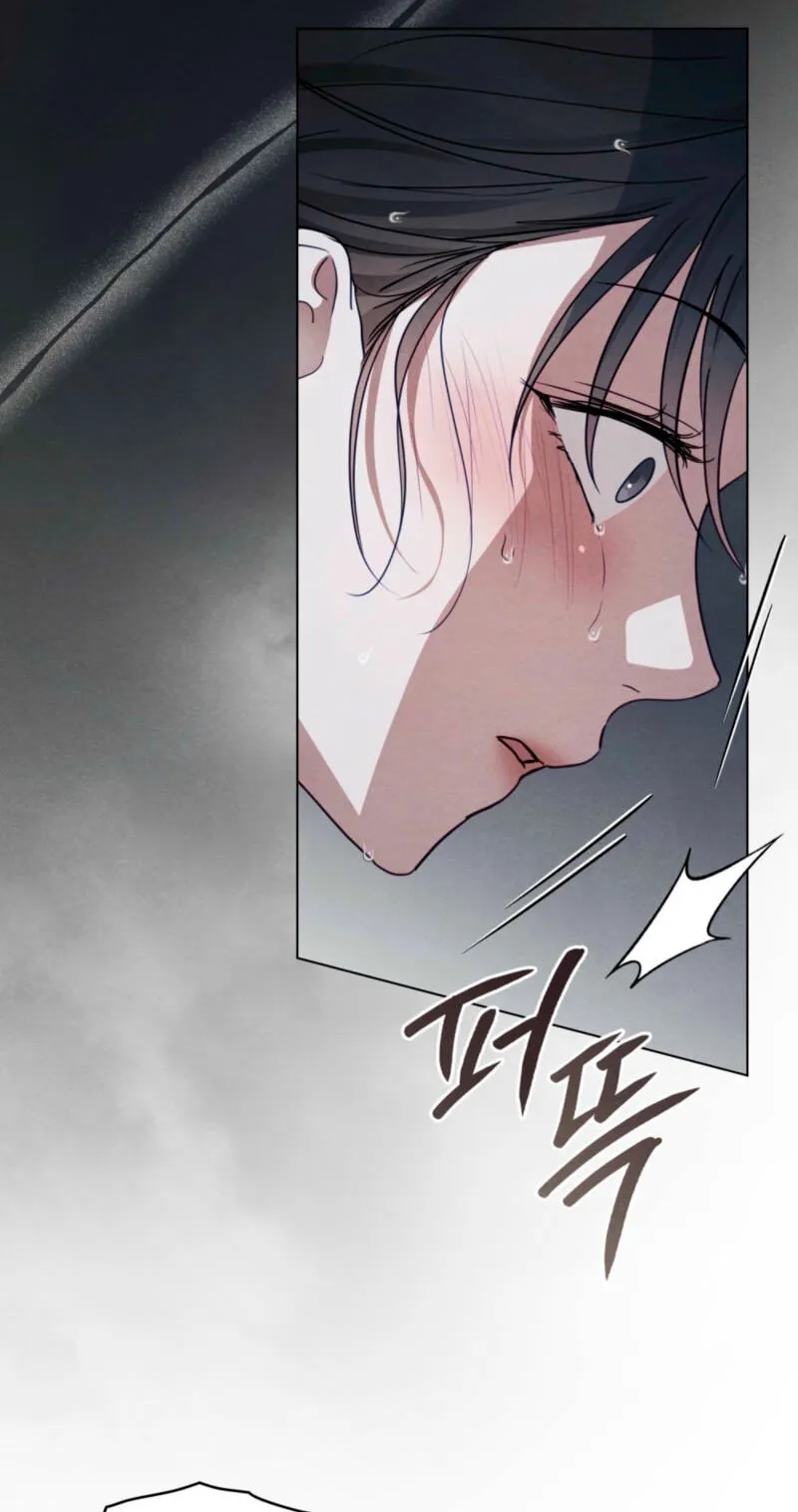 Read Transgression chapter 28 image 77 on Lezhin
