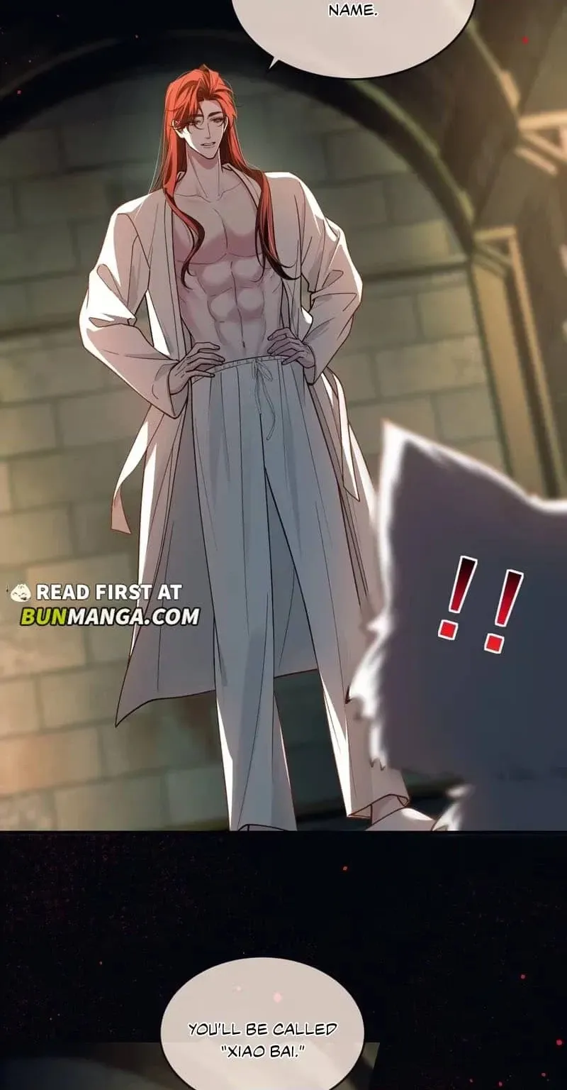 Read Transmigrated Into the Tyrant’s Beloved chapter 2 image 19 on Lezhin
