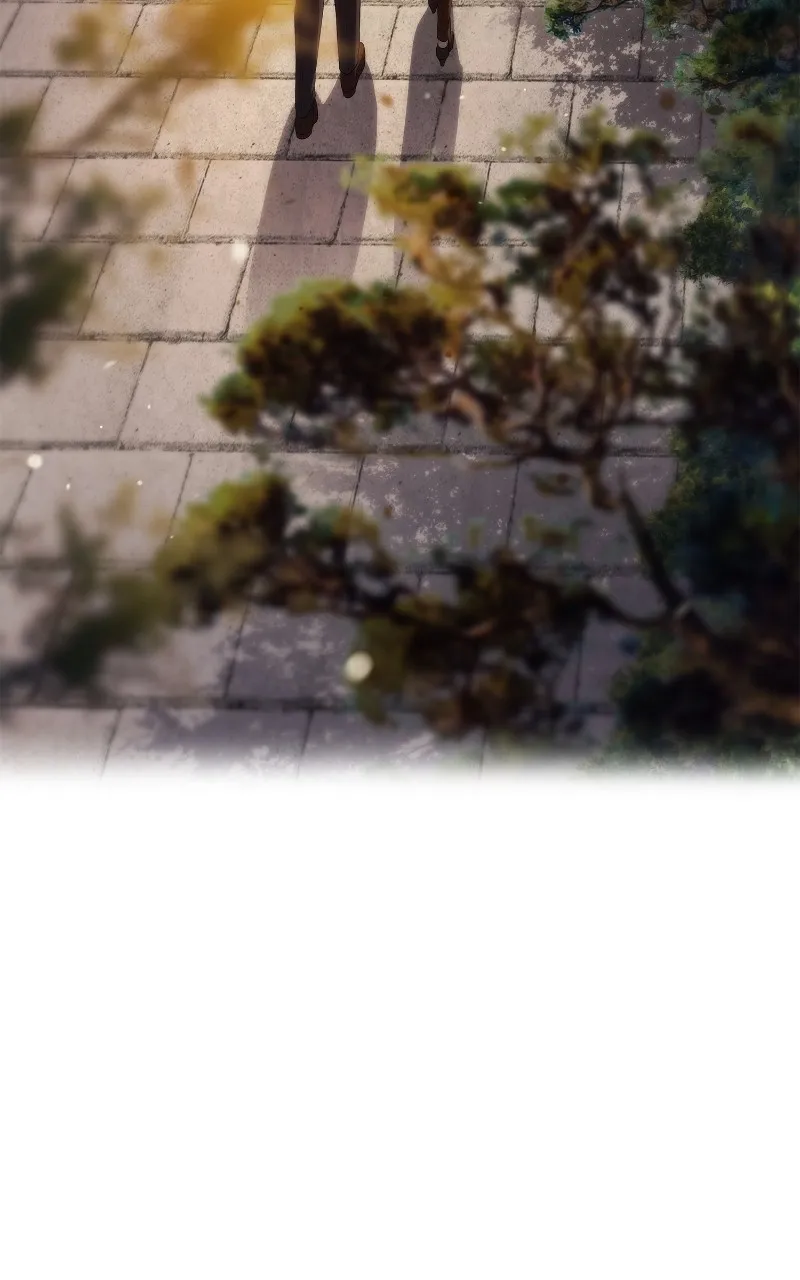 Read Trapped in a Soap Opera chapter 18 image 79 on Lezhin
